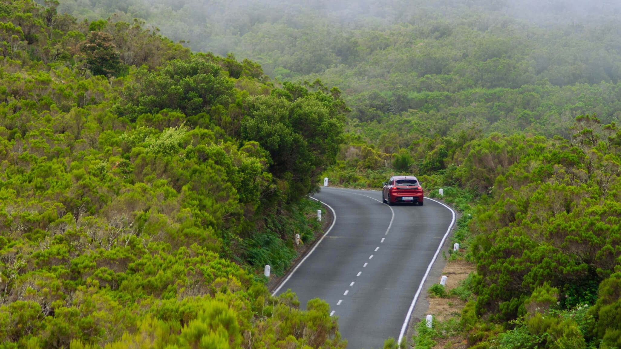 Uber or Rental Car in Madeira: Which Is Better for Your Trip?