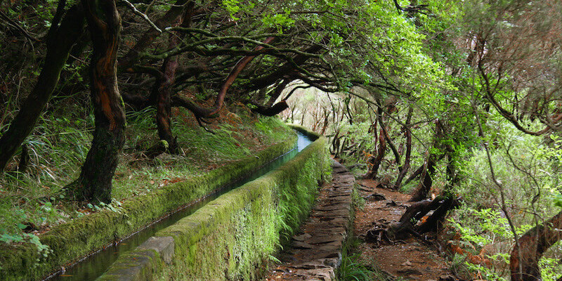 Passeios de Levadas