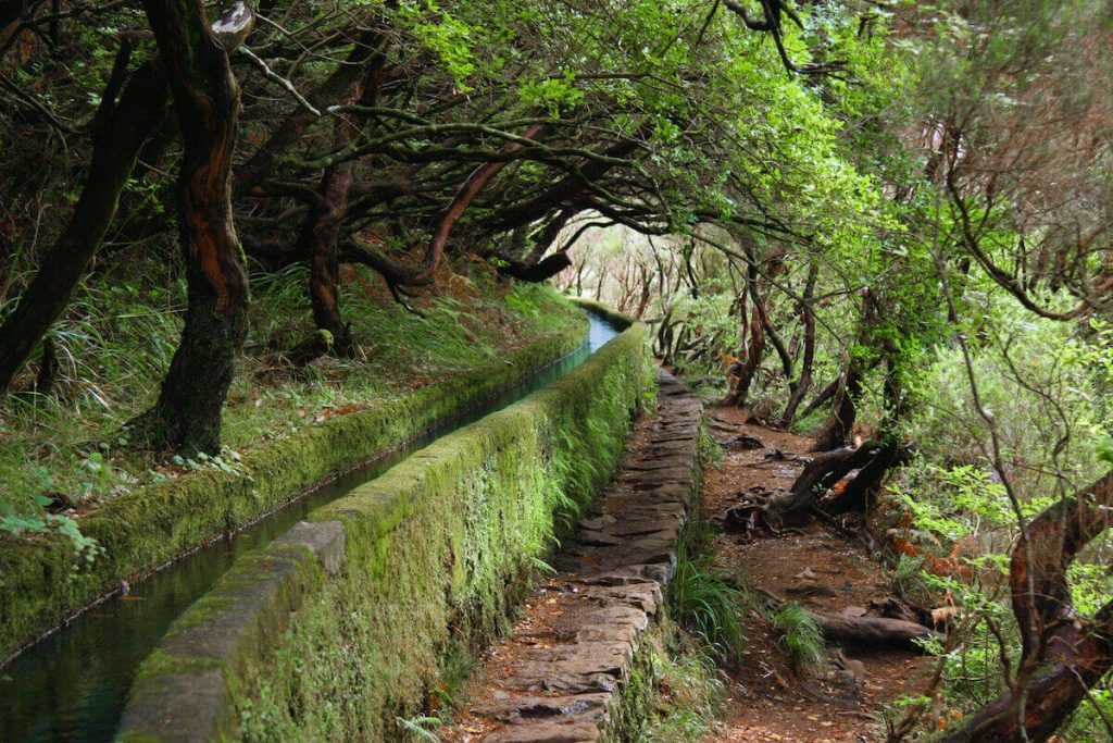 Caminhada de Levada na Ilha da Madeira - 2. kép