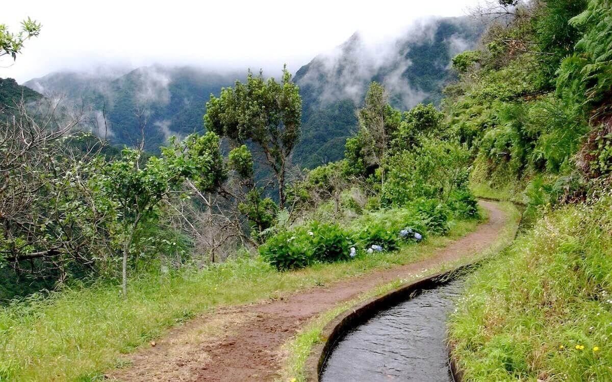 7. Levada da Ribeira da Janela