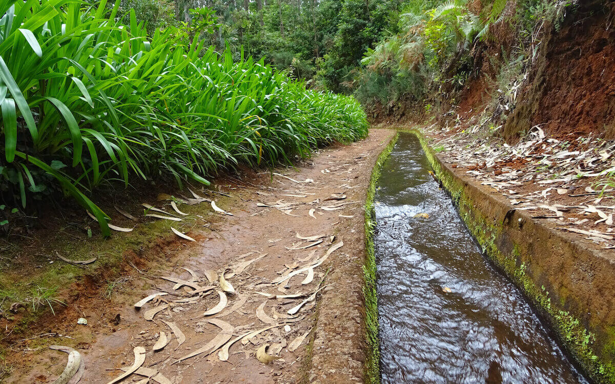 9. Levada do Rei