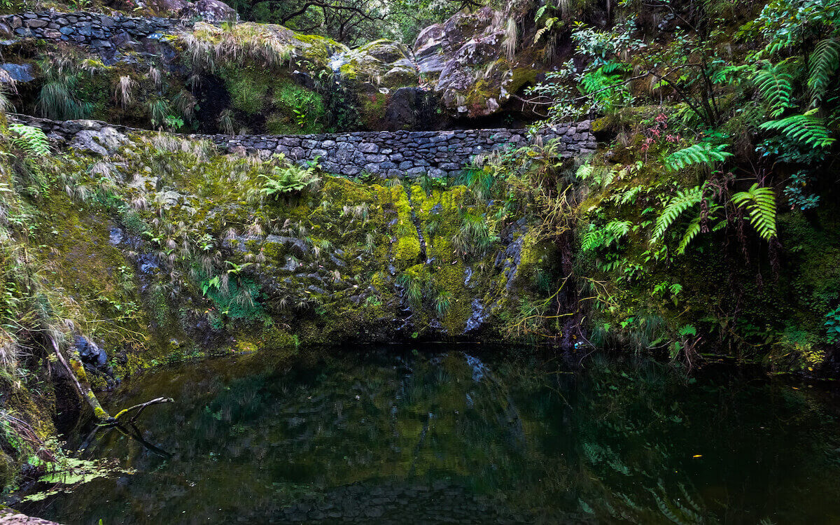 8. Levada do Ribeiro Frio