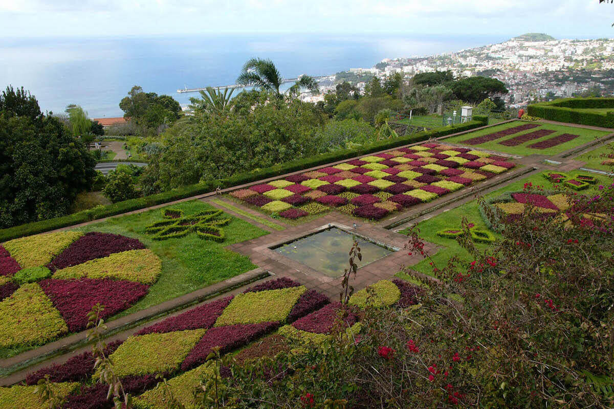 1. Madeira botaniske hage