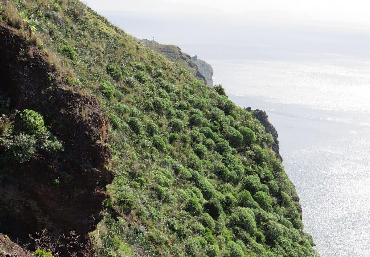 5. Pináculo Viewpoint