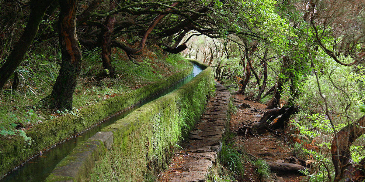 8. Levada Walks