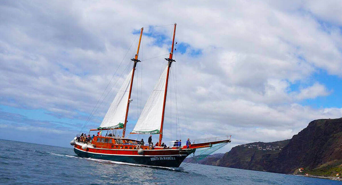 4. Bonita da Madeira