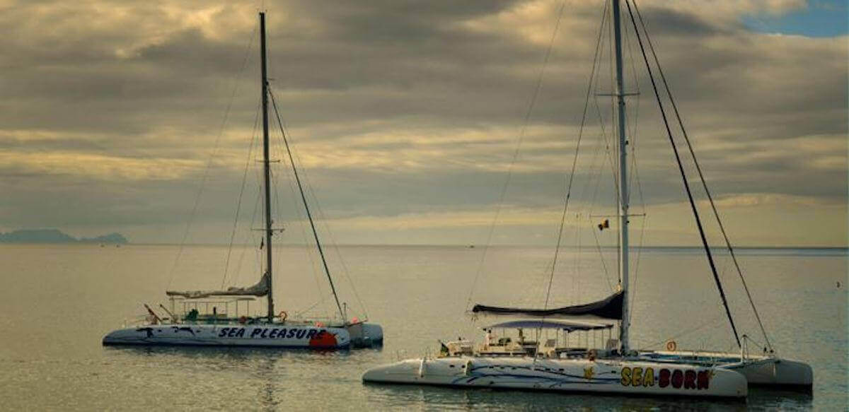 1. Sea Born Catamara