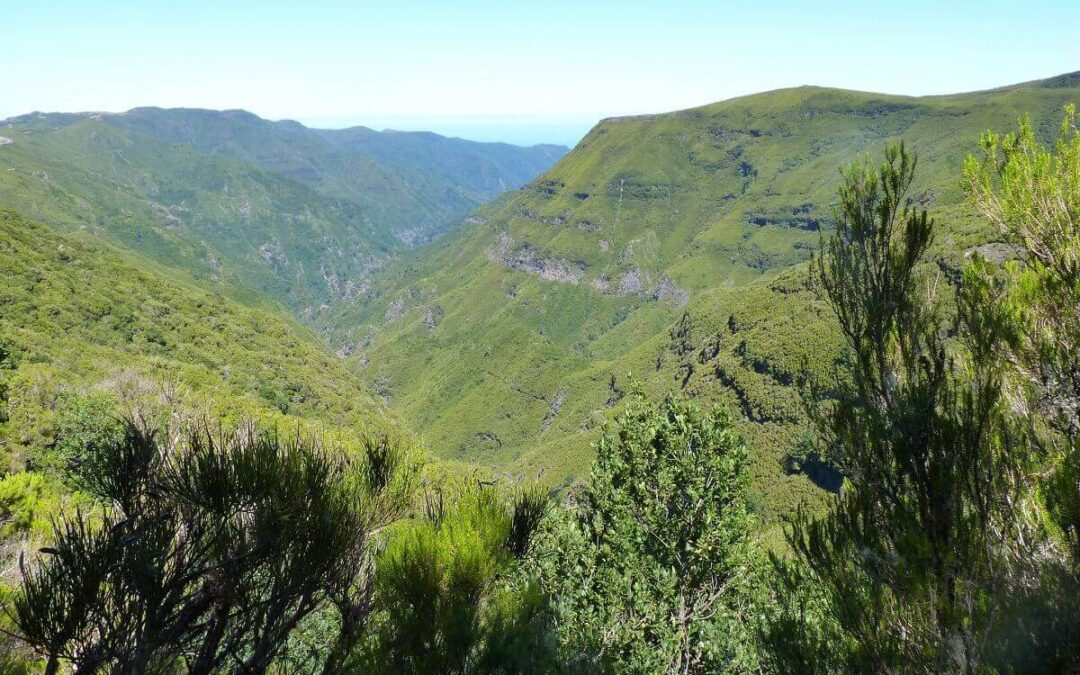Madeira Adası Hakkında Bilmediğiniz Şeyler