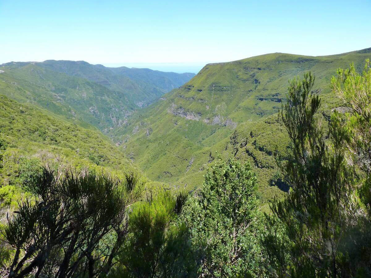 Coisas que você não conhece sobre a Ilha da Madeira