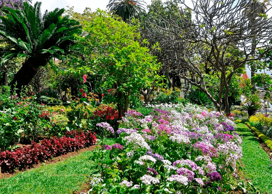 Funchal Municipal Garden 