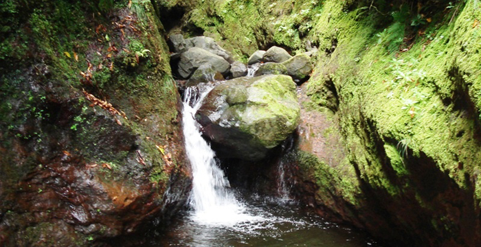 Levada Fajã do Rodrigues