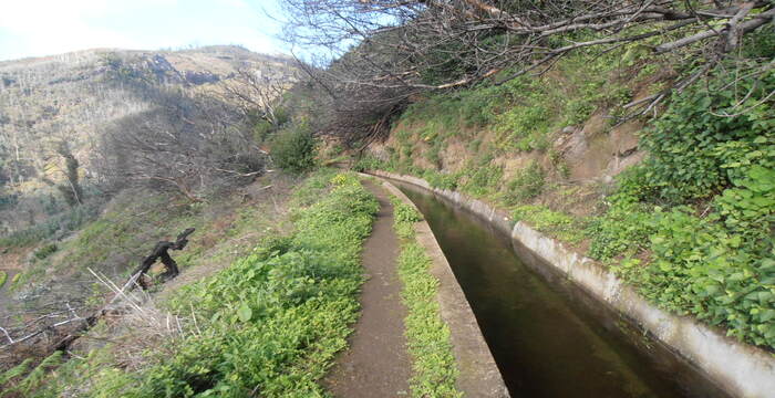 Levada dos tornos - Madeira