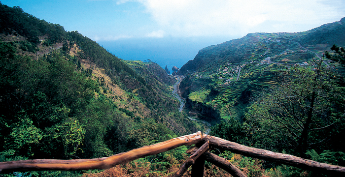 Levada da Ribeira da janela - Madeira