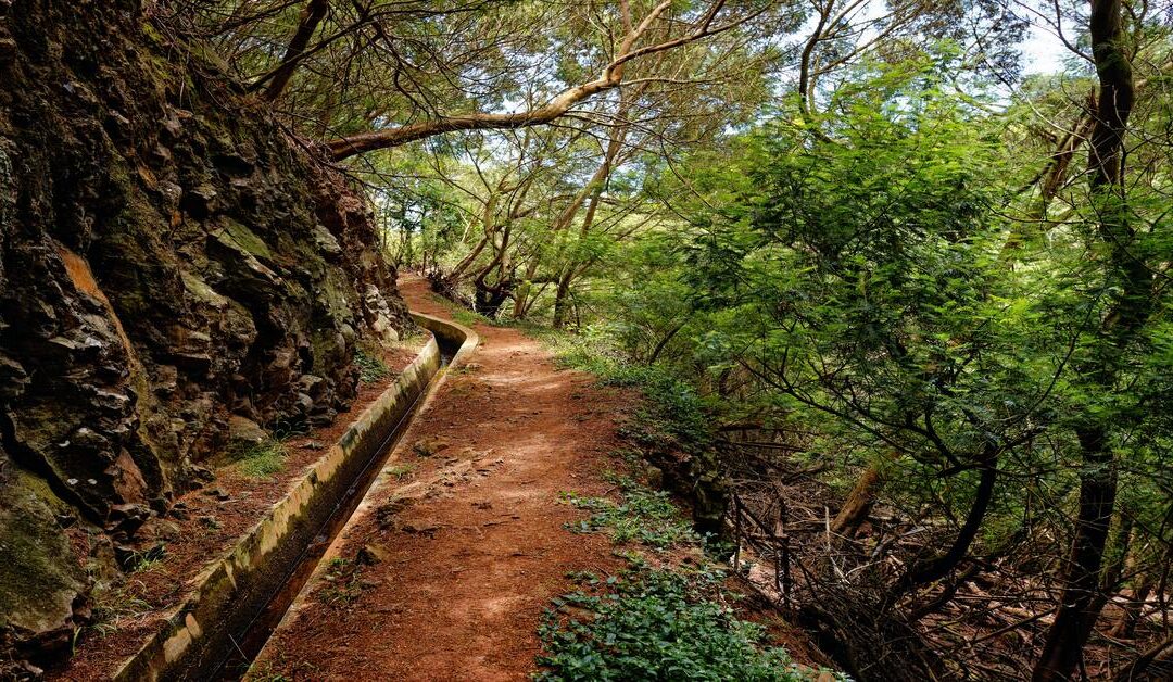 10 için Madeira'daki En İyi 2022 Levada Yürüyüşü