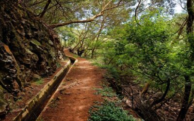 10 Best Levada Walks in Madeira for 2022