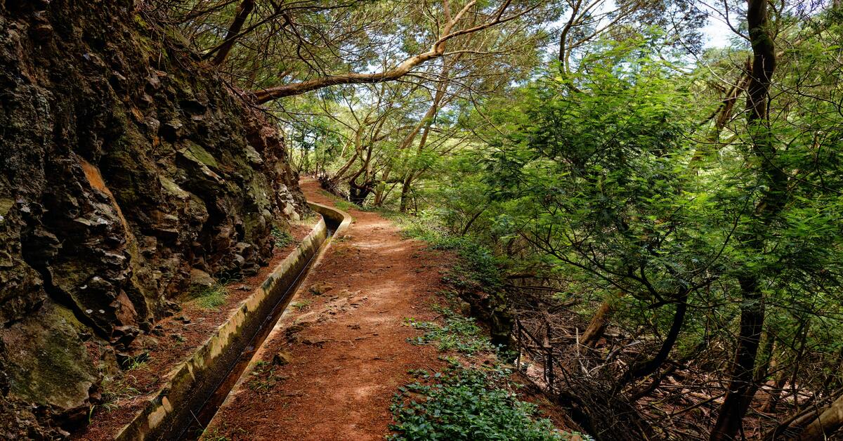 melhores caminhadas pelas levadas da madeira