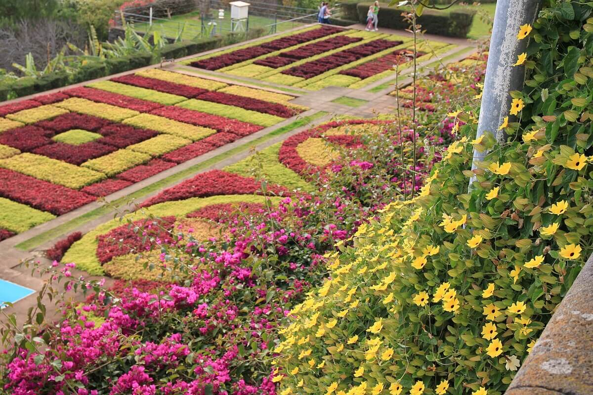 Madeira Botanic Garden 