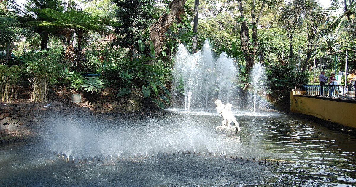 funchal botanical gardens - Jardim municipal