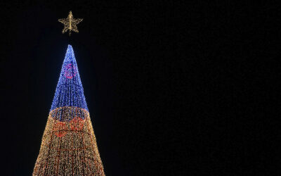 Christmas in Madeira? Your Ultimate Guide for 2022