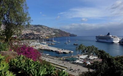 Funchal’s Best Restaurants to Visit in 2023