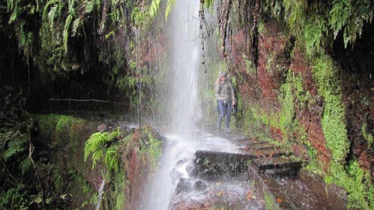 levada do rei madeira fotója