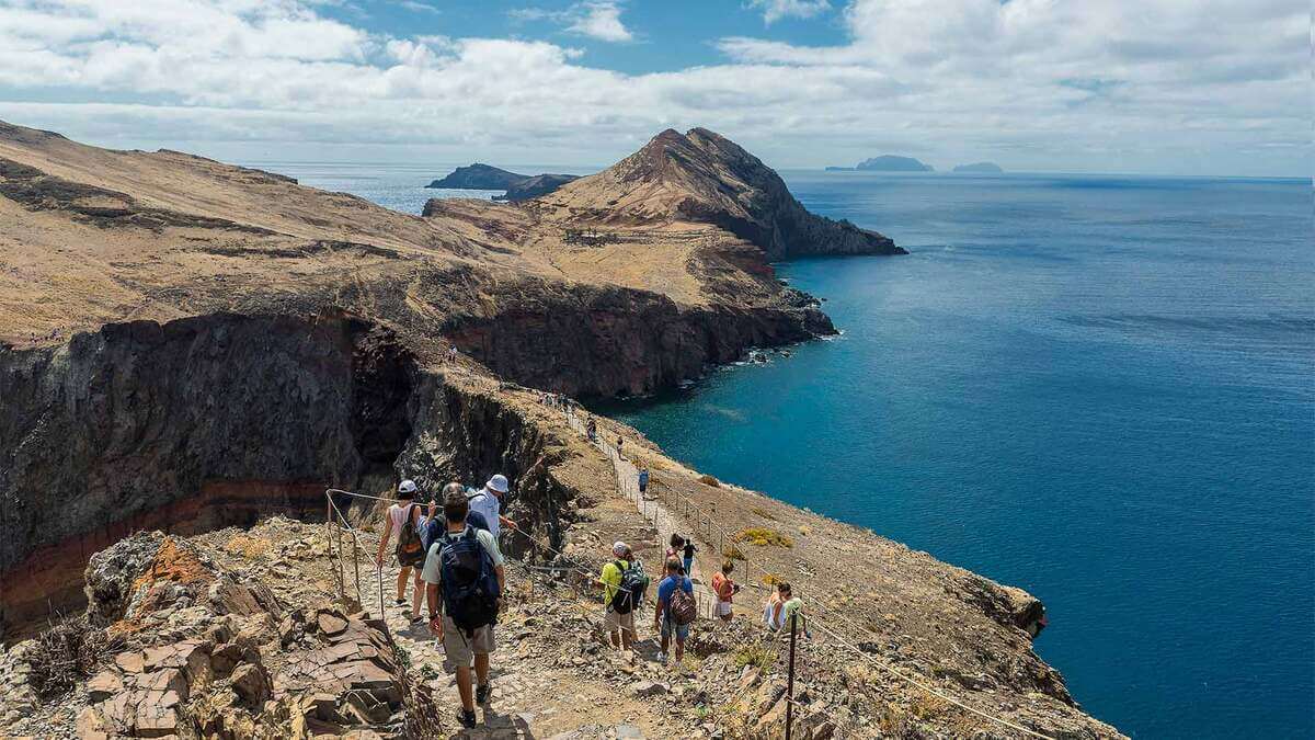 Star wars madeira