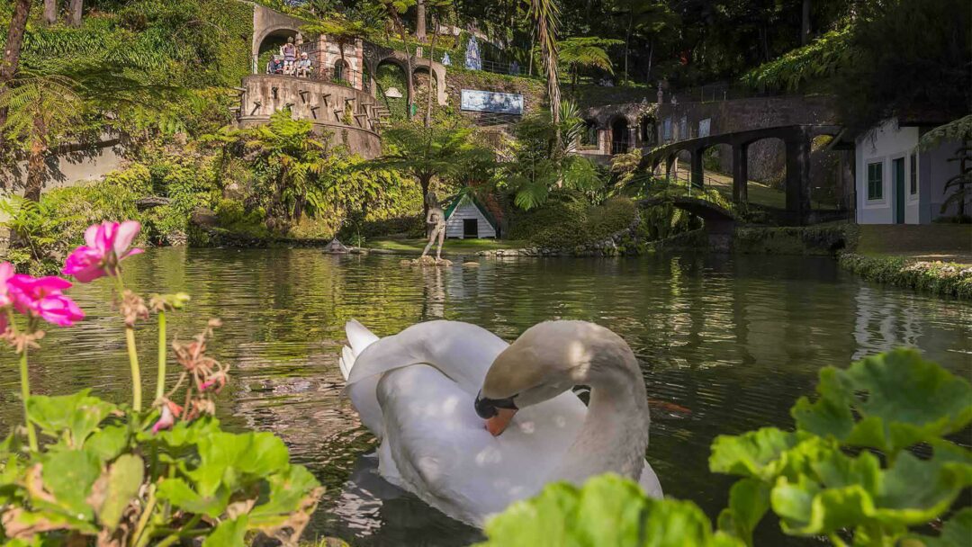 what to see in funchal