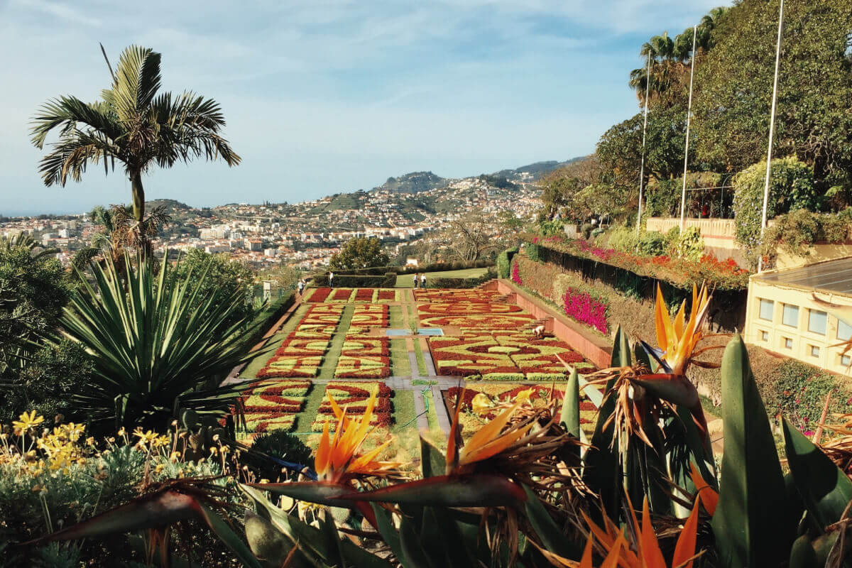 what to see in madeira