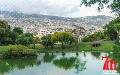 Kas otsite, mida Funchalis näha? 10 kohta, mida linnas olles uurida