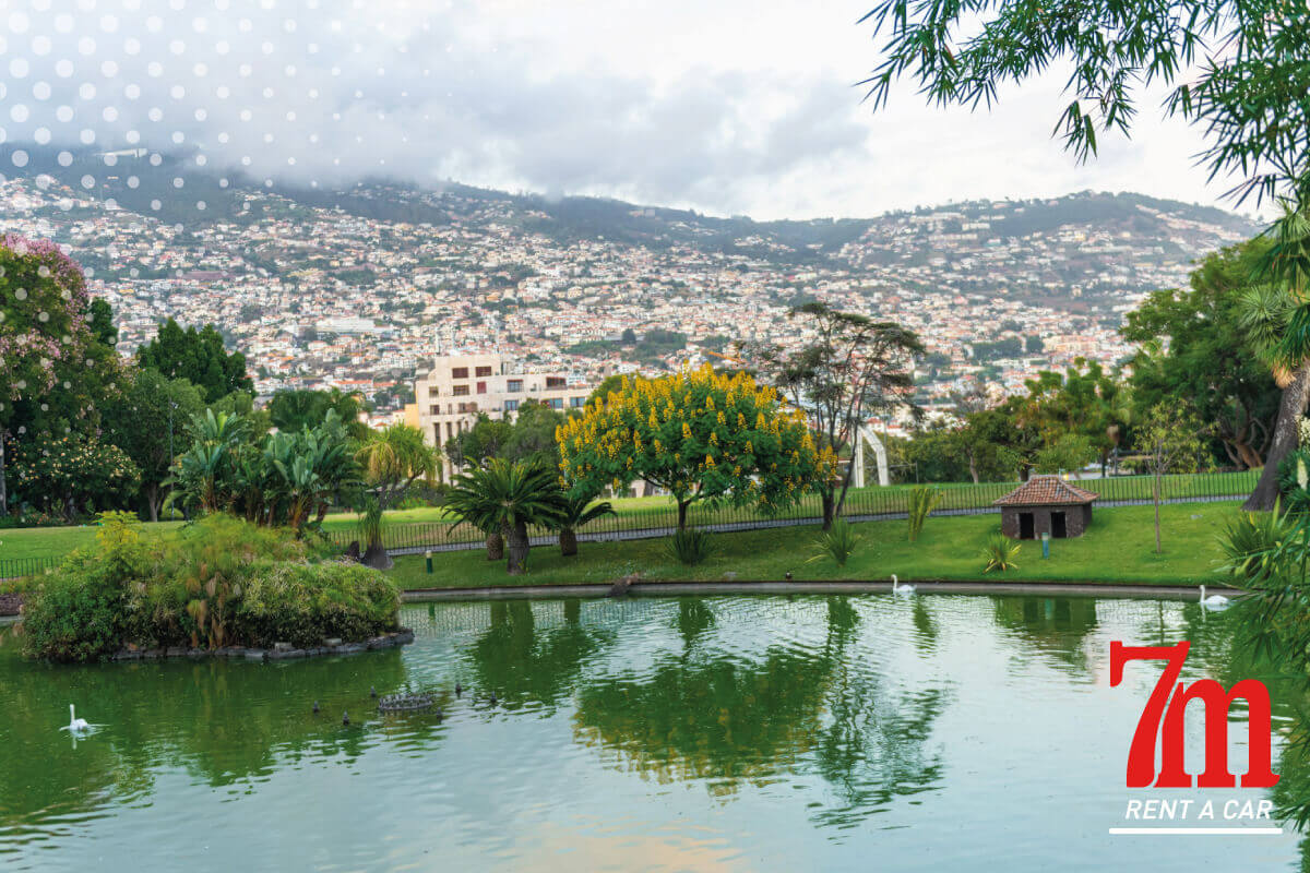 cosa vedere funchal