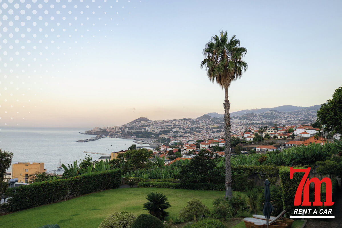 what to do in madeira