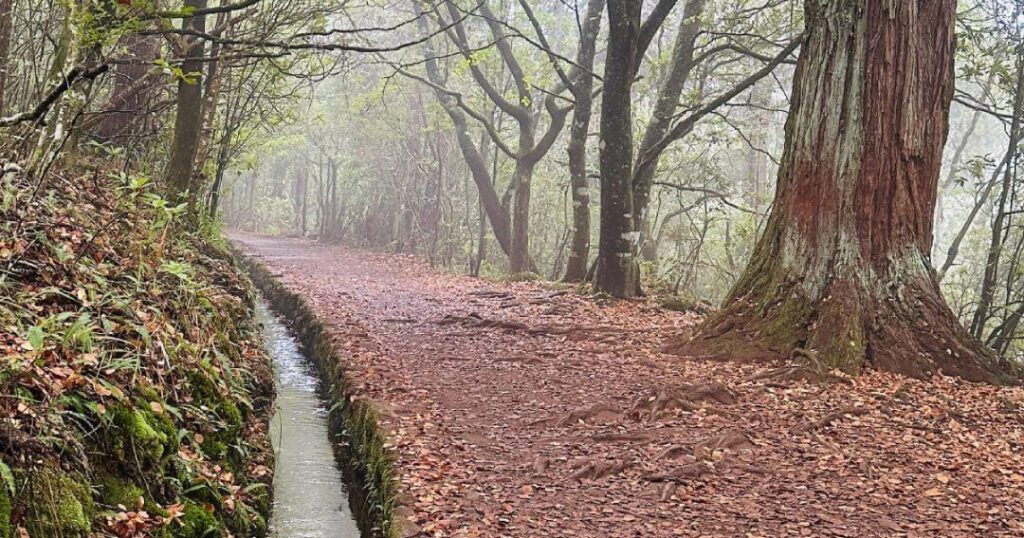 Easy Walks in Madeira - Um caminho para todos