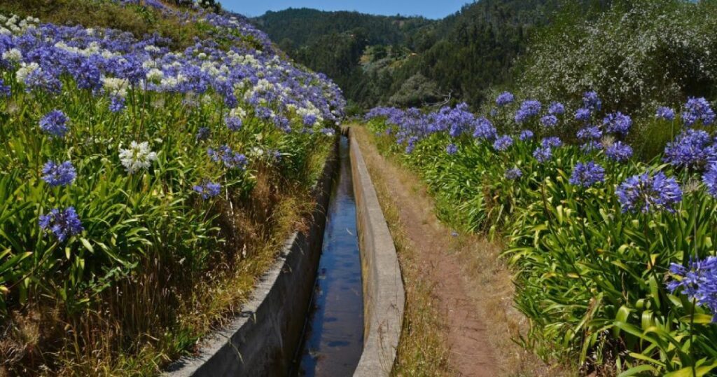 Easy Walks in Madeira: Levada dos Tornos