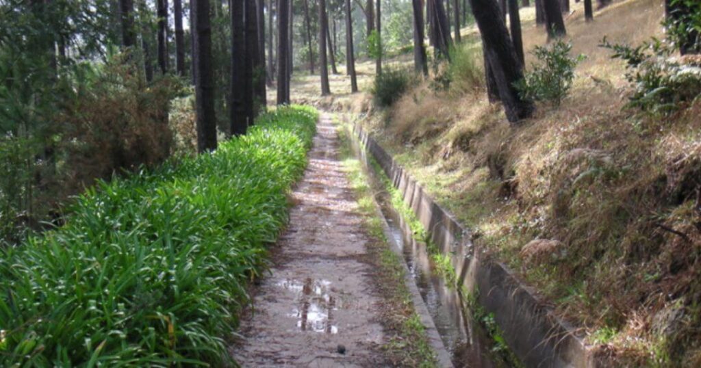 Levada Walk near Camacha, Madeira Island