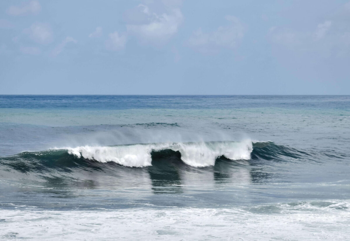 surfing in madeira