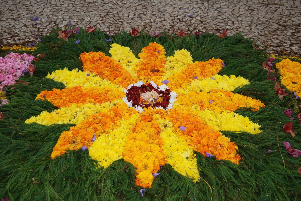 flower festival madeira