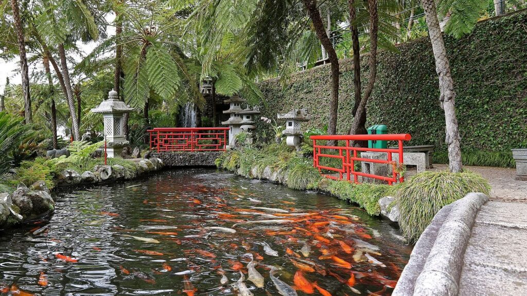madeira island garden