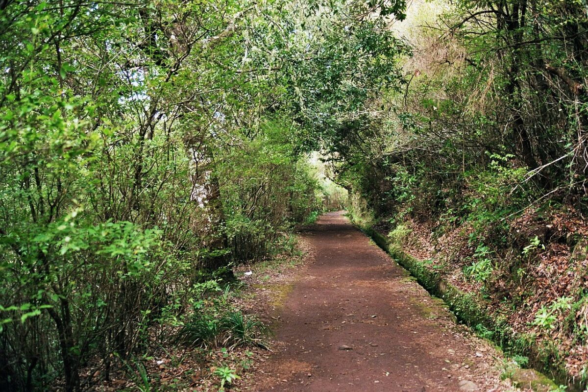things to do in Santa Cruz Madeira