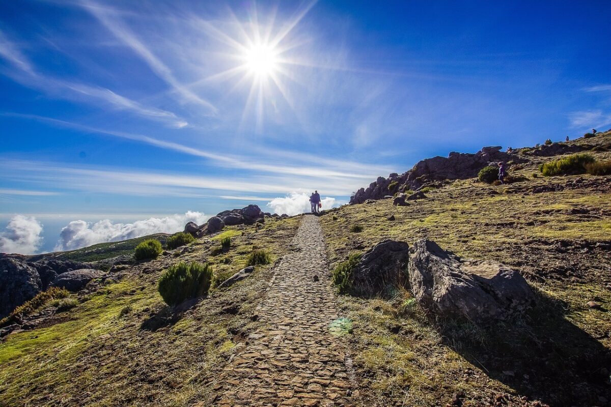 madeira walking tours