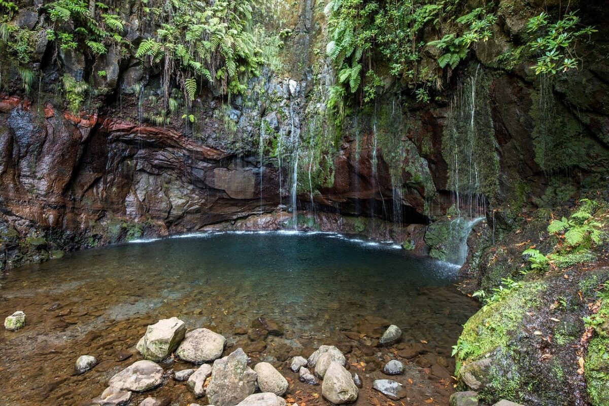 madeira walking tours