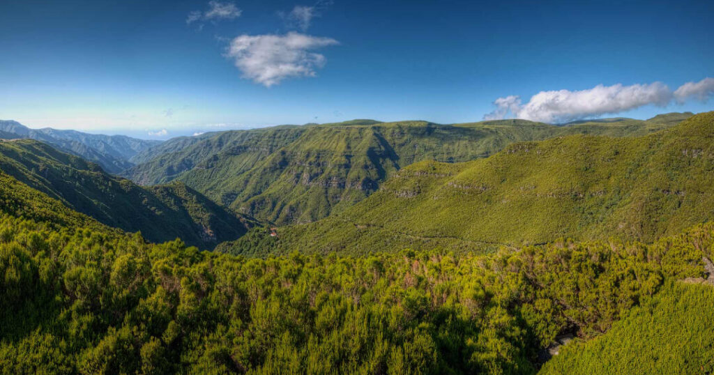 Madeira Island Hiking, 10 Must See Trails with Stunning Views - Rabaçal