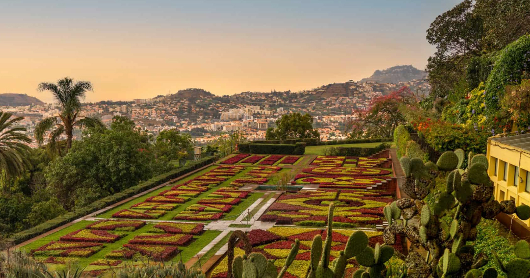 Funchal Attractions - Madeira Botanical Garden