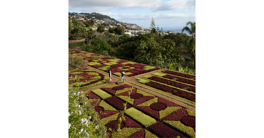 What to do in madeira in November? Visit Madeira Botanical Garden with exotic plants and sweeping views