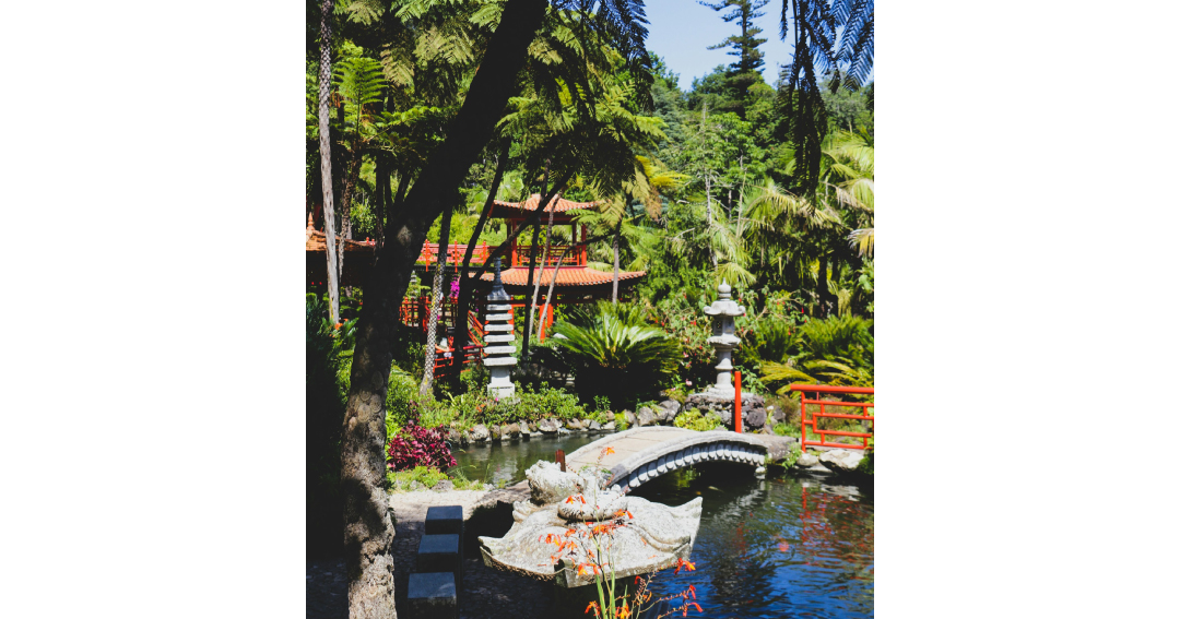 What to do in madeira in November? Visit Monte Palace Tropical Garden with lakes, sculptures, and Asian-inspired landscapes.