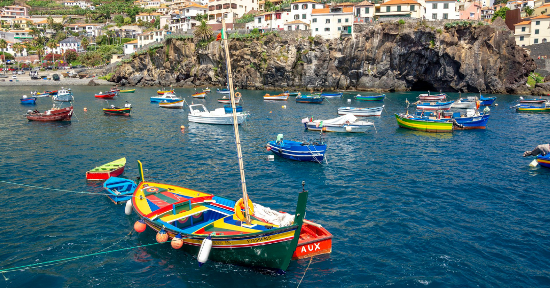 Fishing Boats of Câmara de Lobos