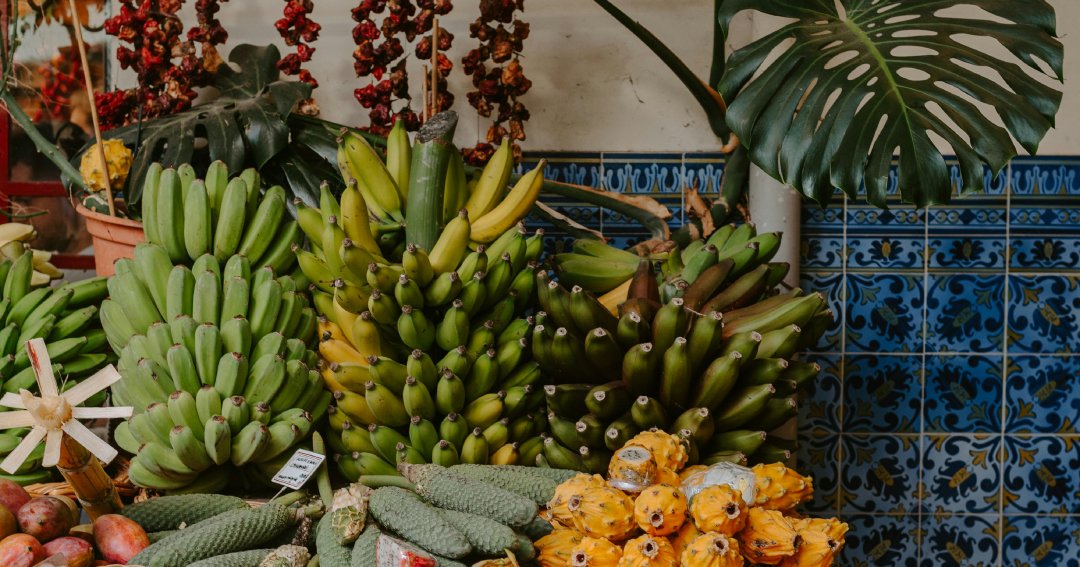 Madeira Island bananas